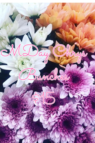 Chrys Bunch - $15