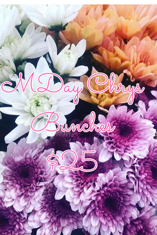 Chrys Bunch - $25