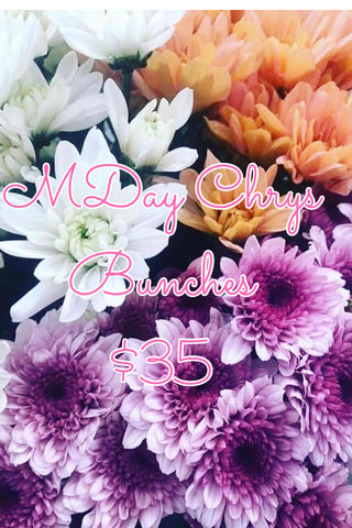 Chrys Bunch - $35