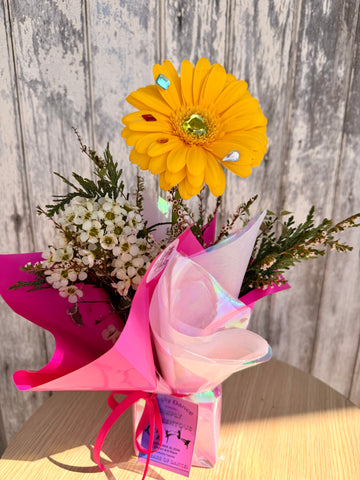 Gerbera