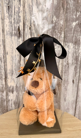 Graduation Teddy