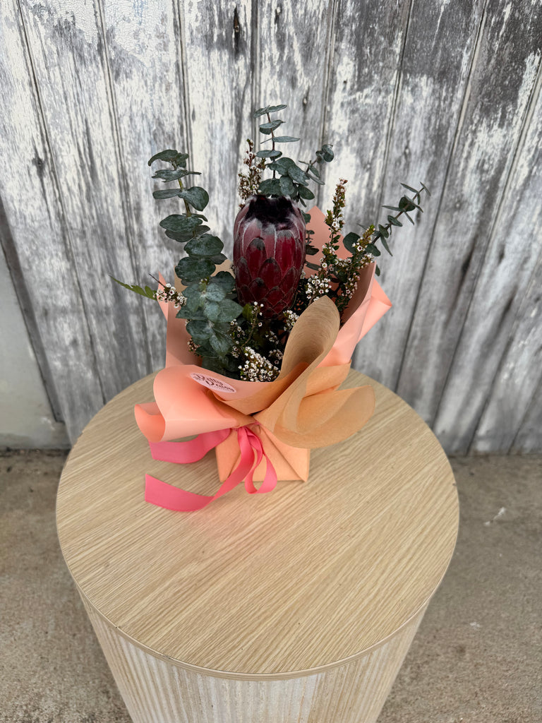Protea Native Base - $25
