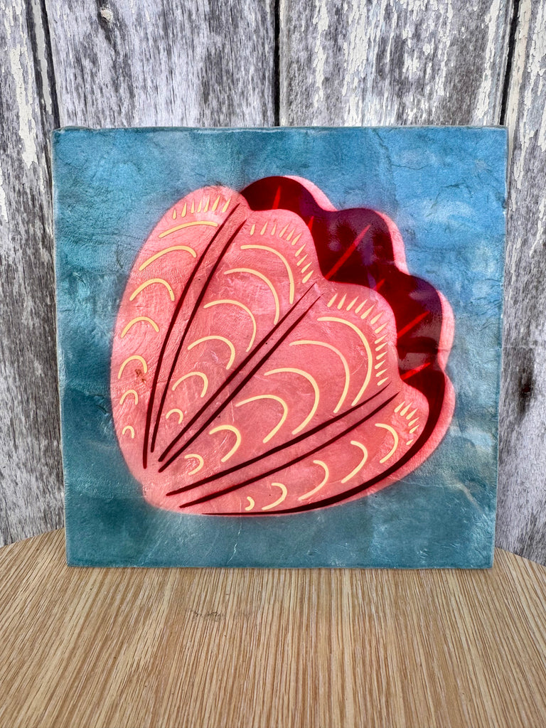 Wall Art - Clam Shell