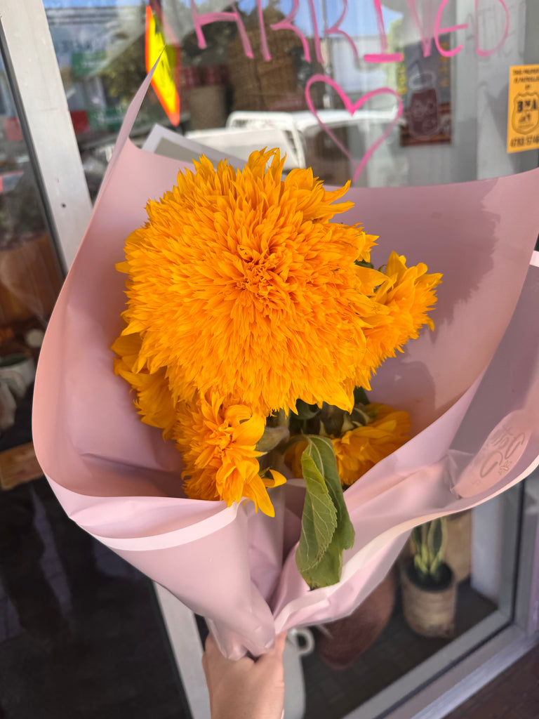 Sunflower market bunches