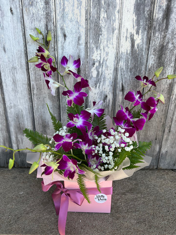 Orchid Box Arrangement